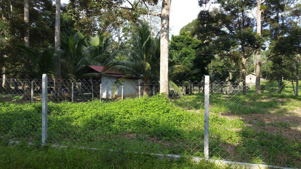 Chalet Kampong Semawar Kuala Kangsar Exteriér fotografie