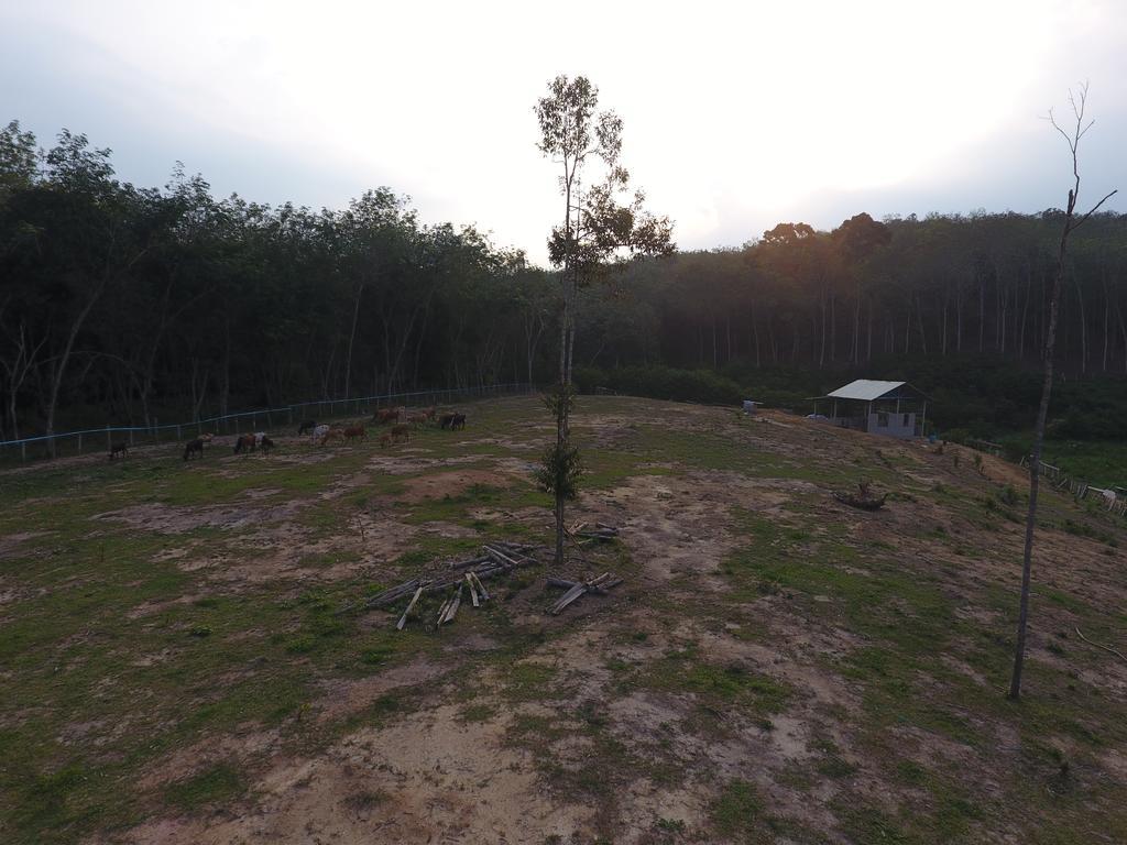 Chalet Kampong Semawar Kuala Kangsar Exteriér fotografie
